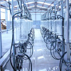 Sistema di vetro automatico della sala di mungitura della spina di pesce di misura del latte