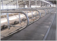 la mucca del tubo galvanizzata spessore di 3mm si blocca liberamente per le aziende agricole della mucca da latte