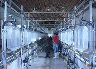 Azienda lattiera galvanizzata calda che munge la sala di mungitura della spina di pesce con il parafango