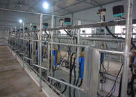 Sala di mungitura automatica con il sistema computerizzato di misura del latte di Electroinc