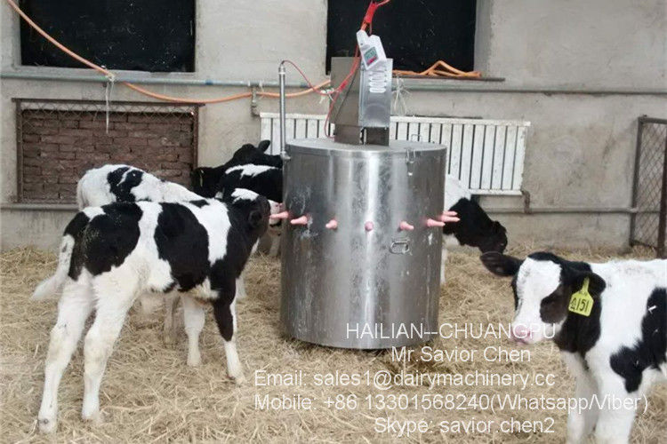 Vitello d'alimentazione dell'attrezzatura del vitello di sicurezza che alimenta facile da pulire a macchina